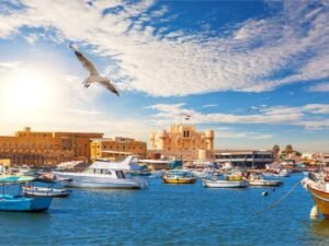 pyramids of giza and siwa oasis