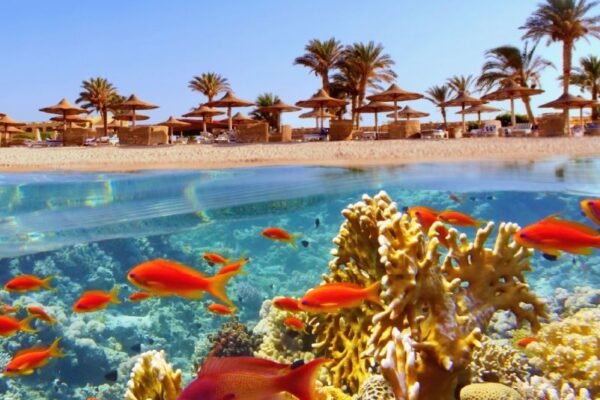 Egypt Tour: 14-Day Cairo, Alexandria, White Desert & Luxury Nile Cruise to Hurghada